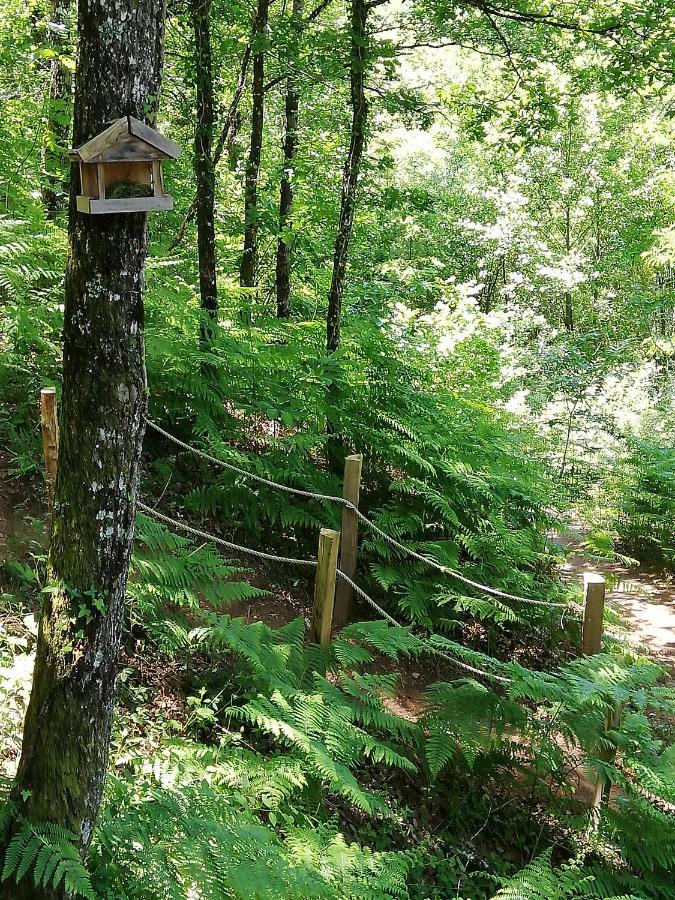 Ma Cabane En Aveyron Conques-en-Rouergue ภายนอก รูปภาพ